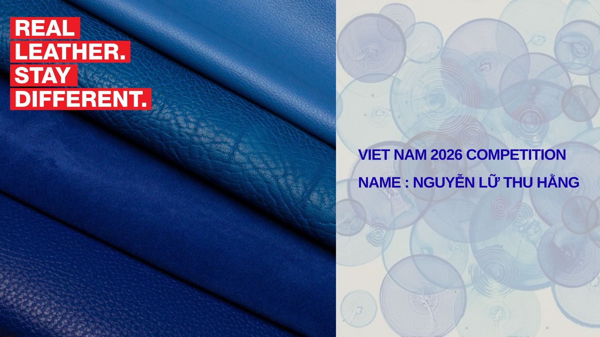 User Thu Hằng project image one