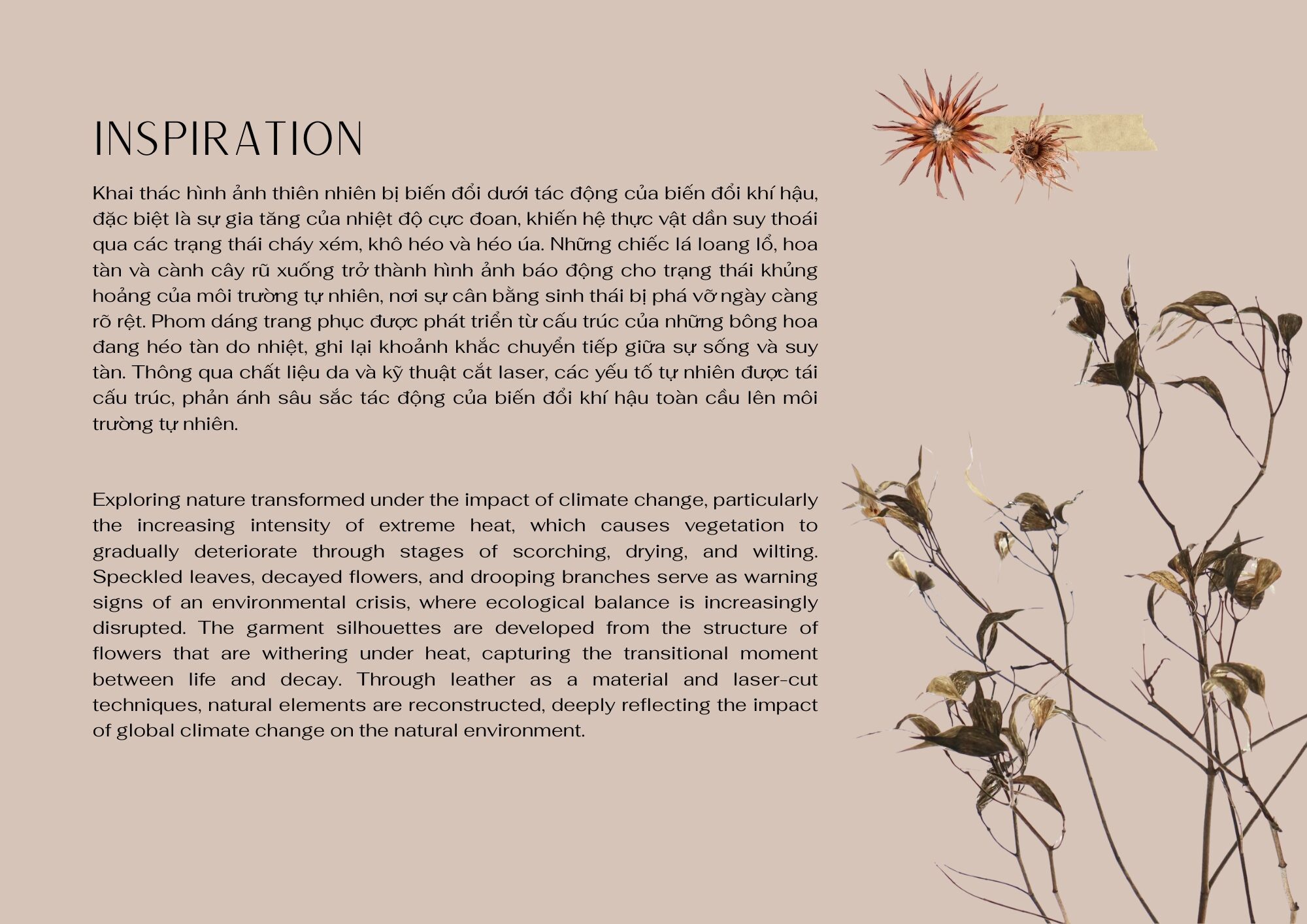 User Nhất project image two