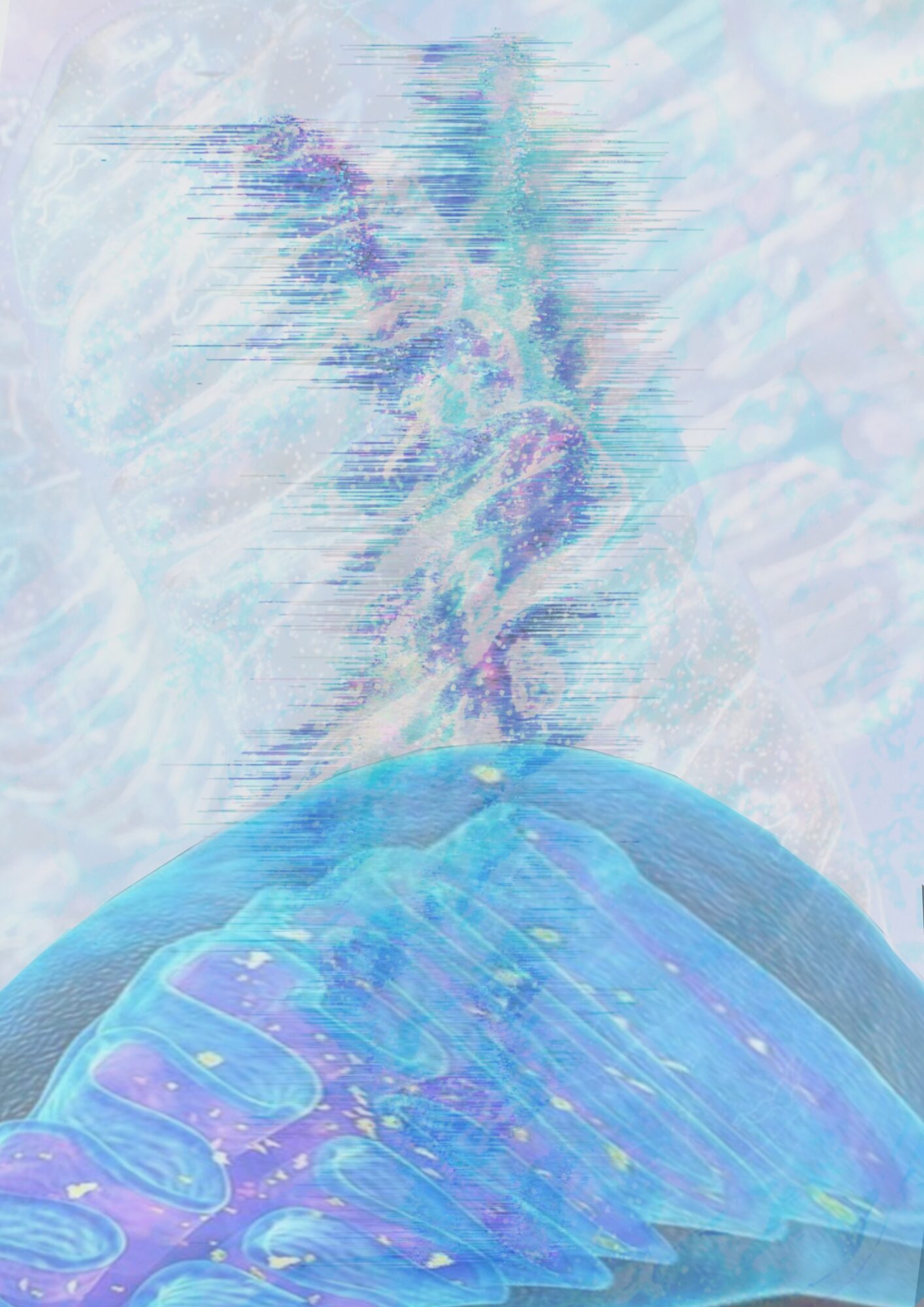 User Li project image one