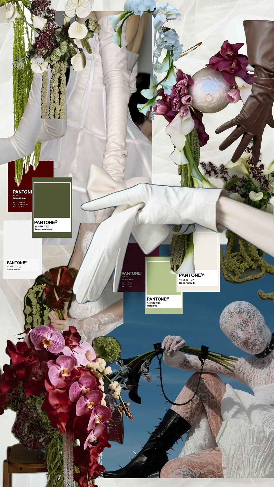User Linh project image two