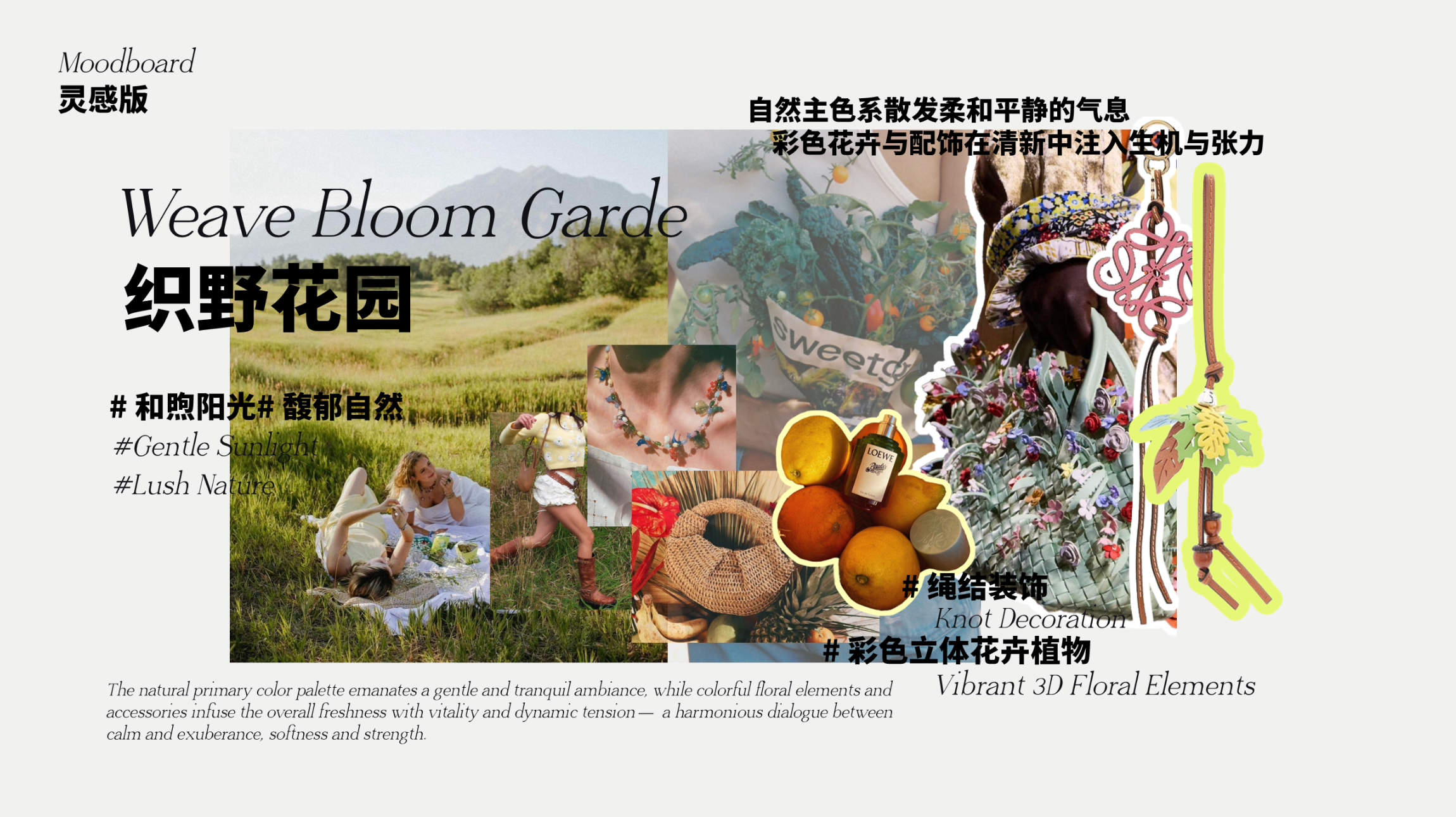 User Lai project image one