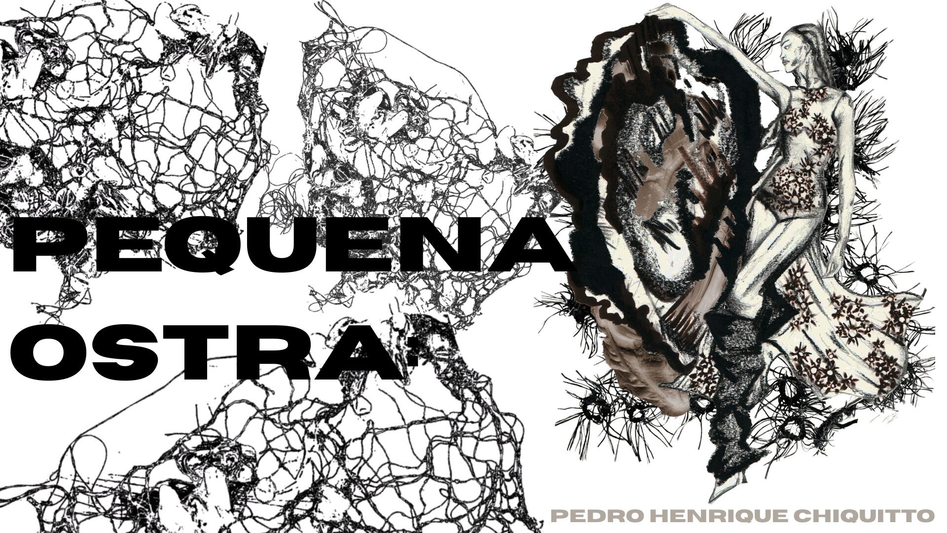 User Pedro Henrique Leites project image one