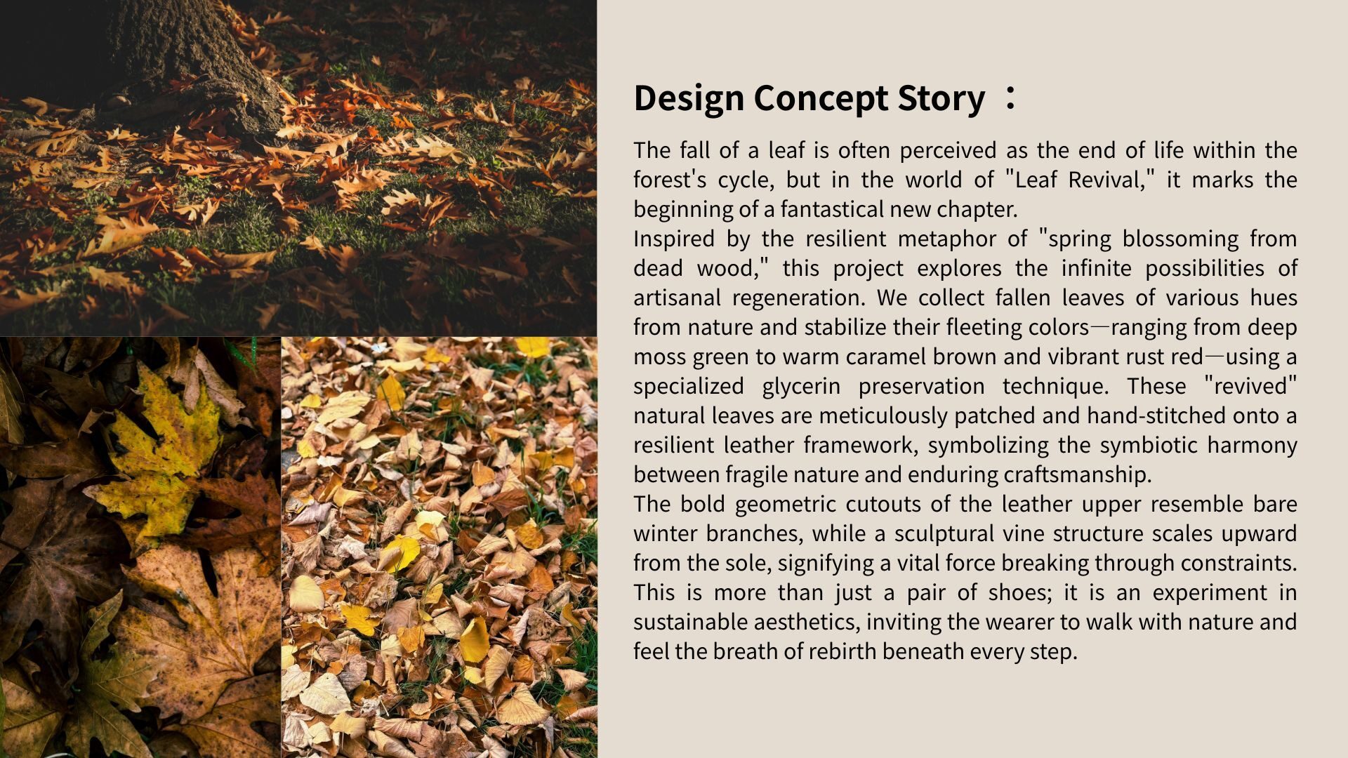 User Ying-Tong project image two
