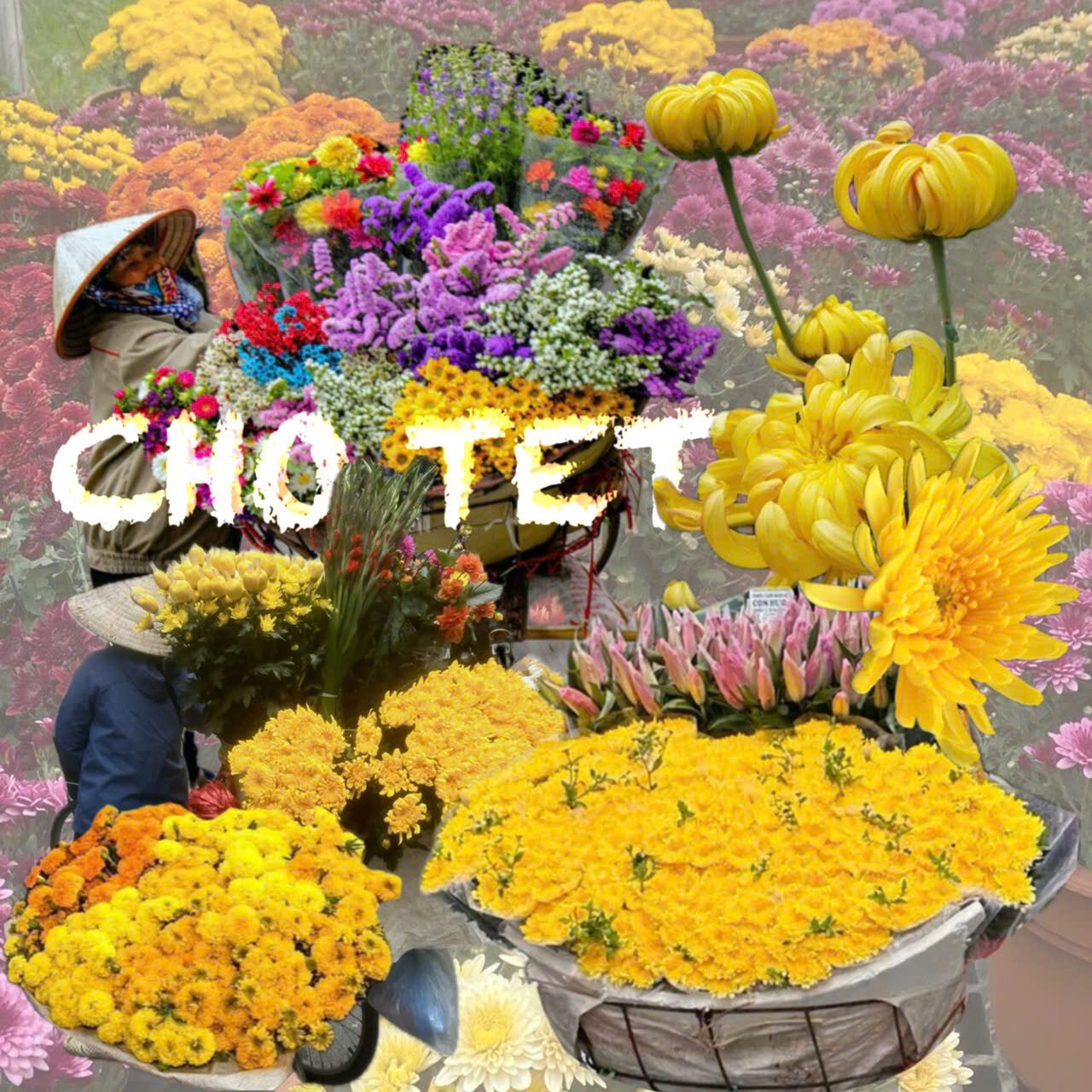 User Thi Kim Nhu project image one