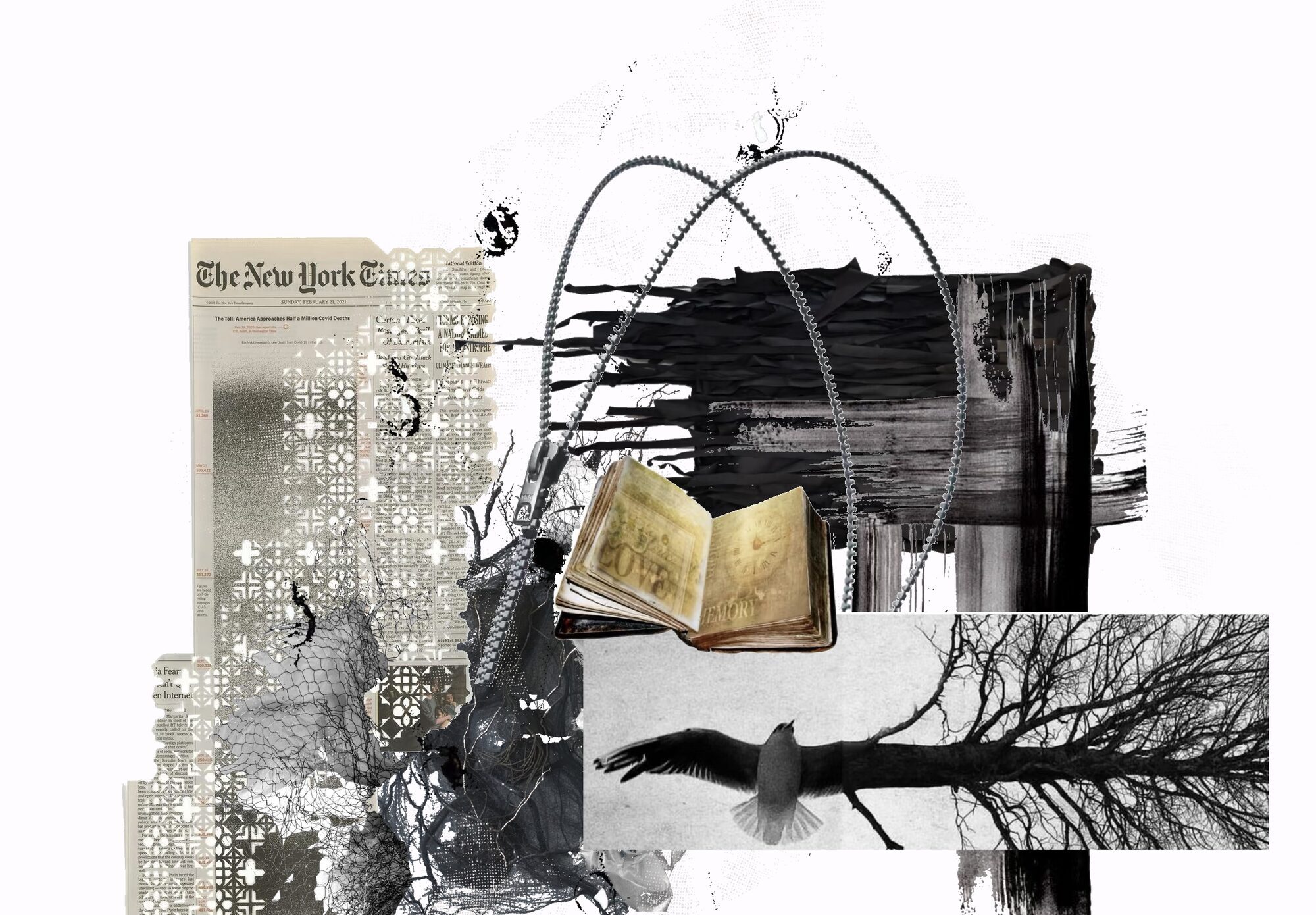 User Qianni project image one